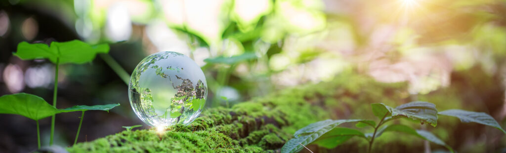 Greenery with globe